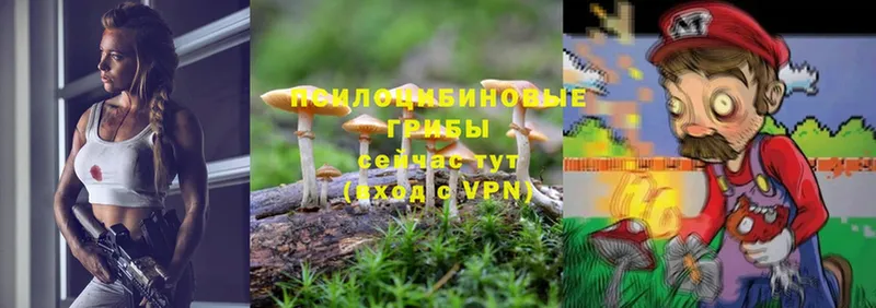 дарнет шоп  Верхнеуральск  кракен как войти  Псилоцибиновые грибы Psilocybine cubensis 